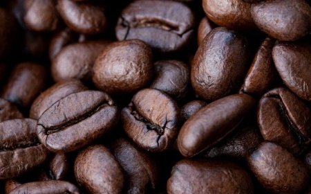 CCL Products Shares Surge 16% on Robust Q4 FY25 Earnings; Stock Delivers 290% Return Over 5 Years