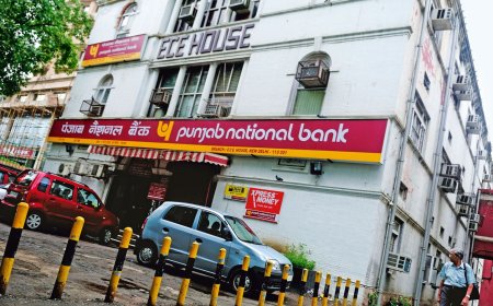 PNB Q4 FY25 Results: Net Profit Soars 51% to ₹4,550 Crore; NII Up 11%