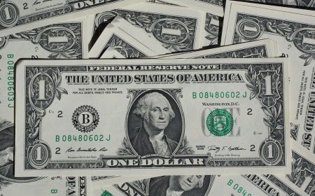 FPIs Infuse ₹44,000 Crore in Indian Stocks Despite India-Pakistan Tensions