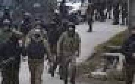 3 Terrorists Killed in Encounter in Jammu and Kashmir's Shopian