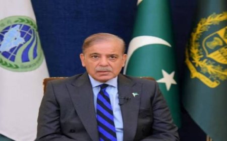 Pakistan PM Confirms Indian Missile Strikes; Army Chief Munir Alerted Sharif at 2:30 AM