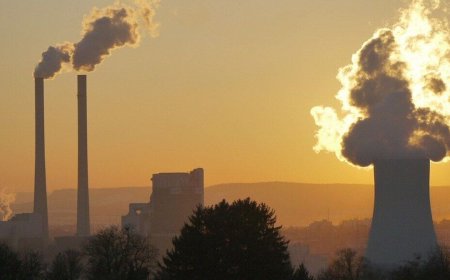 India to Notify New Rules to Comply with IMO Zero Emission Regulations; Ports and Shipping to Go Green