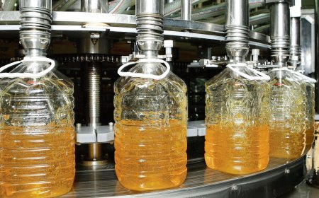 Govt Slashes Import Duty on Crude Edible Oil to 10% – Impact on Prices and Domestic Industries