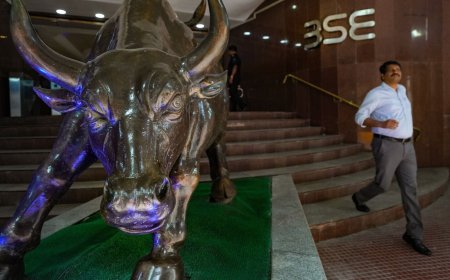 Sensex Falls 180 Points, Nifty 50 Slips Below 24,800 in Range-Bound Trade; Metal Stocks Bleed