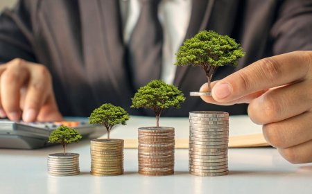 Small-Cap Stock Under ₹50 Declares Final Dividend Alongside Q4 FY25 Results