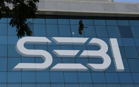 SEBI Bans LS Industries Over Stock Fraud Allegations, Probe Extended Till Nov 15