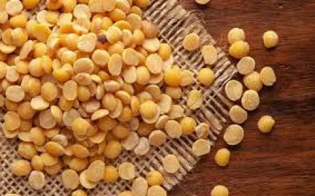 India Extends Duty-Free Yellow Pea Imports to March 2026: Implications for Market and Investors