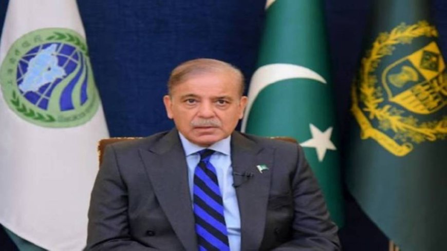 Pakistan PM Confirms Indian Missile Strikes; Army Chief Munir Alerted Sharif at 2:30 AM