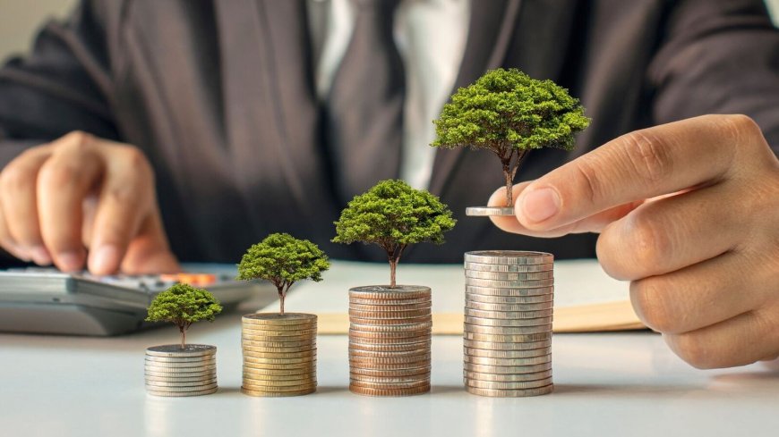 Small-Cap Stock Under ₹50 Declares Final Dividend Alongside Q4 FY25 Results