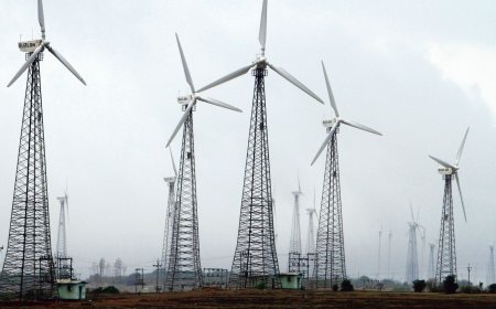 Suzlon vs Inox Wind: Which Wind Energy Stock Should You Buy After March Quarter Results?