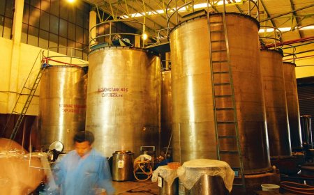 Som Distilleries and Breweries share price skyrockets as promoter raises stake in company