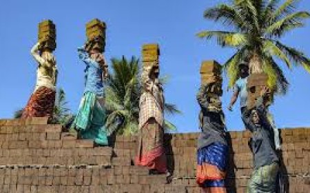 India's Labour Force Survey Reveals Key Insights into Employment Trends and Economic Participation