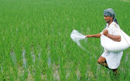 A new fertilizer allocation plan is in the works—a hot potato or a crucial step?