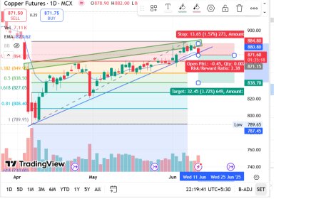 COPPER MCX FUT CMP 872. TARGET 838, SL 886.