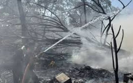 Air India crash: How UK PM Starmer, Nawaz Sharif and other global leaders reacted.