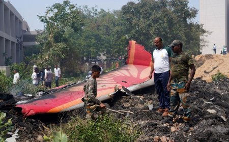 Will the Air India Crash Lead to the Grounding of the Dreamliner Series and Disrupt Travel?