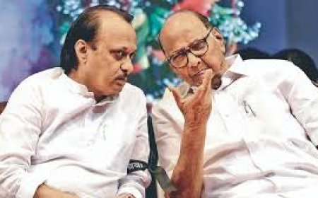 'If someone aligns with BJP for power ...': Sharad Pawar's veiled swipe at Ajit deflates NCP merger buzz