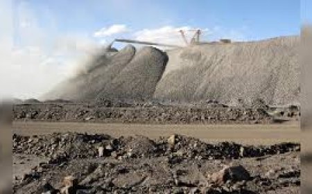 India's top rare-earths producer IREL running without a full time Chairman for 6 months