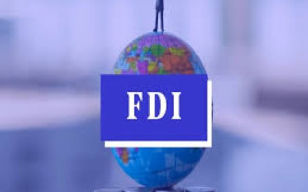 India moves a rung up to rank 15th among top FDI destinations in 2024