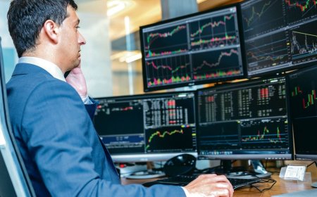 Market Volatility Hits Mid and Small-Caps: Are Large-Cap Stocks a Safer Bet Now?