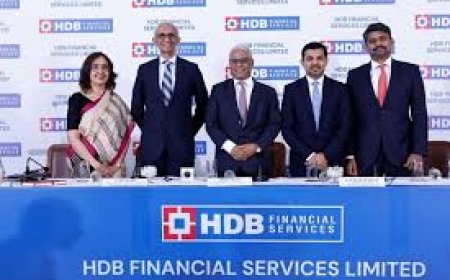 Rare bet in the works; LIC eyeing participation in anchor book of HDB Financial Services IPO