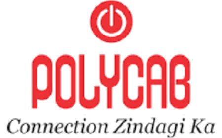 Polycab shares rise 5% on Jefferies' bullish note that sees 19% upside potential