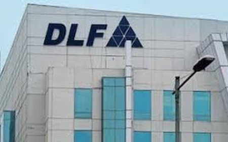 NRI contribution to DLF business rises 27% on-year in FY25