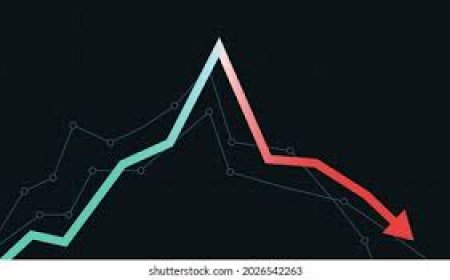FACT, Coromandel, other fertiliser stocks fall up to 7% as China blocks specialty fertiliser exports
