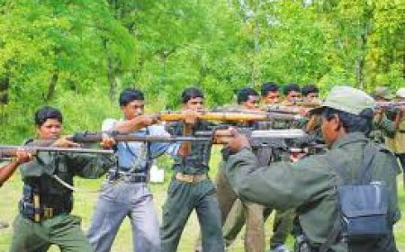 From guns to gills: How fish farming is transforming former Naxals in Jharkhand