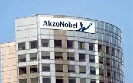 Akzo Nobel India shares rally 6% as JSW Paints to acquire stake worth Rs 8,986 crore