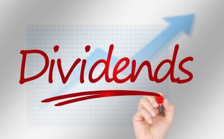 FY25 dividend payouts: Cash-rich BFSI and IT companies dominate