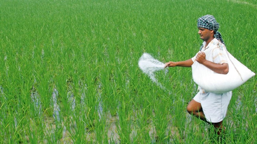 A new fertilizer allocation plan is in the works—a hot potato or a crucial step?