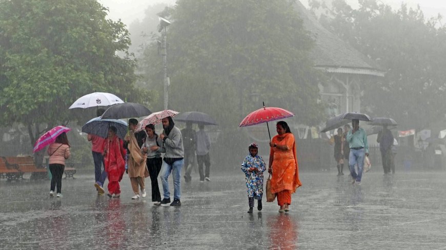 Good Monsoon May Drive 10–15% Earnings Growth in Agri-Linked Sectors in H2 FY26: Report