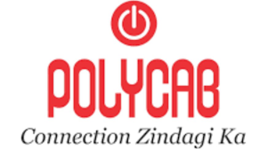 Polycab shares rise 5% on Jefferies' bullish note that sees 19% upside potential