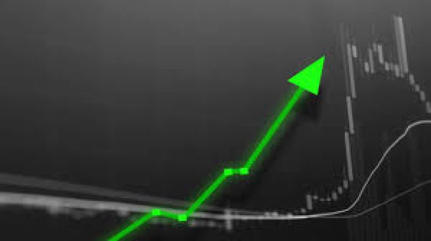 Small-cap stocks extend rally to 4th straight session; MCX, NBCC, IndiaMART rise up to 6%