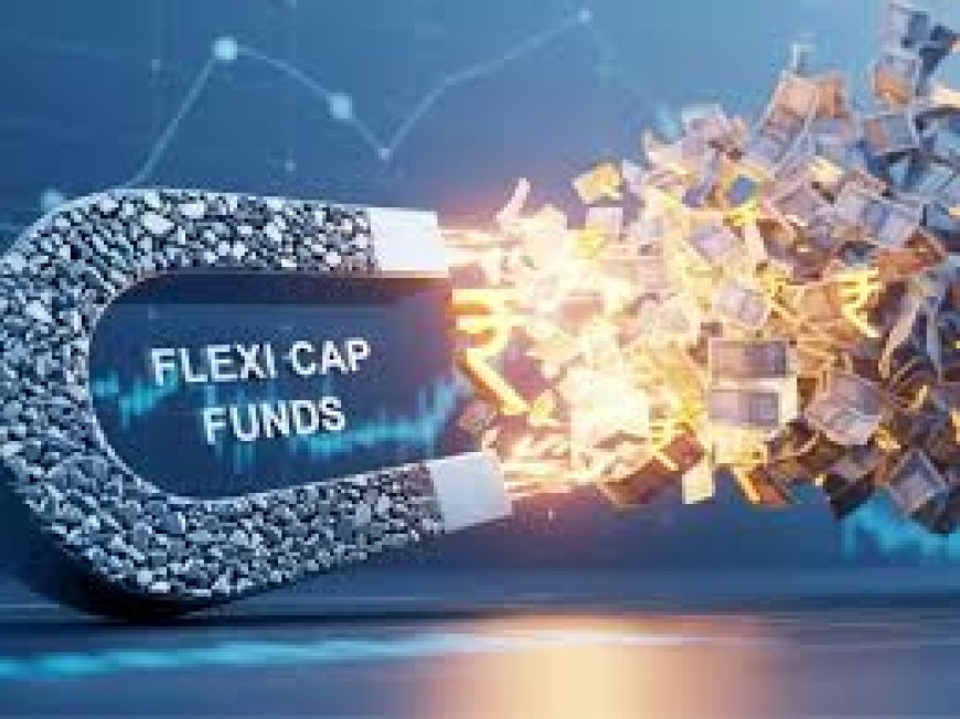 Flexicap, largecap, value funds cut cash in May; midcap, smallcap schemes stay cautious