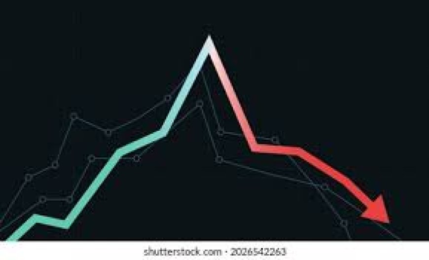 FACT, Coromandel, other fertiliser stocks fall up to 7% as China blocks specialty fertiliser exports