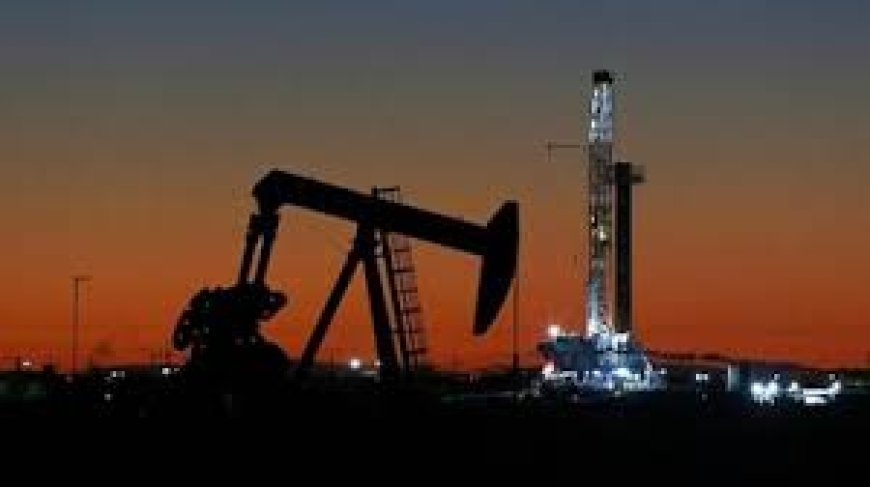 BPCL, IOC, HPCL shares extend rally as crude oil cools off; Brent crude under $70/bbl