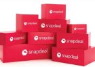 Snapdeal parent AceVector files confidential draft IPO papers with SEBI