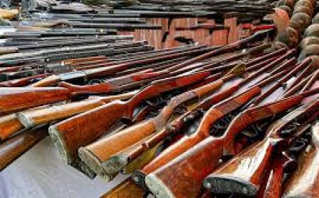 203 weapons including rifles, pistols recovered in major success for security forces in Manipur; IEDs, grenades also seized