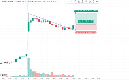 GODREJCP CMP 1246 TARGET 1265, SL 1237.