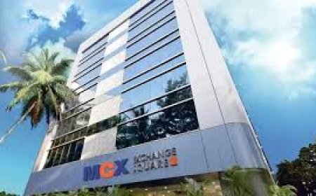 MCX to launch electricity futures contract from July 10, sees demand for risk management instruments