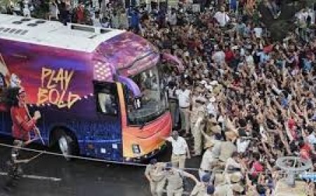 RCB moves Karnataka HC against CAT remarks blaming it for Bengaluru stampede