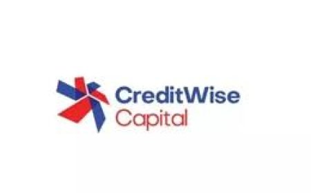 NBFC Credit Wise Capital closes Rs 200-crore round led by Trident Growth Partners