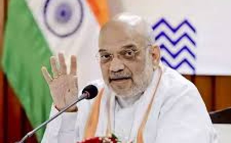 Amit Shah reveals his retirement plans: 'Will study Vedas, practise natural farming'