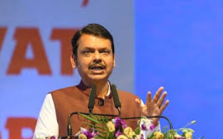 Devendra Fadnavis condemns ally Sena MLA’s assault on canteen worker: ‘Doesn’t send right message’