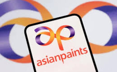 Asian Paints, HUL, Varun Beverages are 'fallen angels', top contra bets