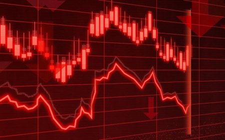 Top Gainers and Losers on July 11: IREDA, BSE, BEML, TCS, MCX among top losers today