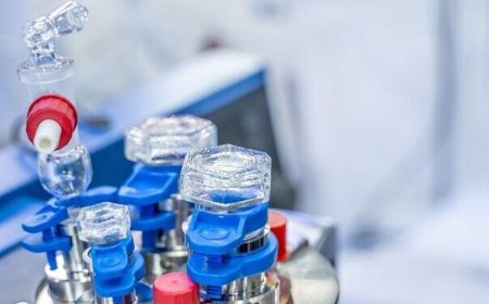 Anthem Biosciences IPO to open on July 14; raises  ?1,016 crore worth shares via anchor book