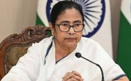 We are not fighting our own': Mamata, Himanta in fresh war of words over citizenship, infiltration